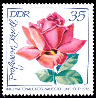 20201126_0015.jpg