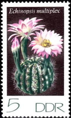 20201130.jpg