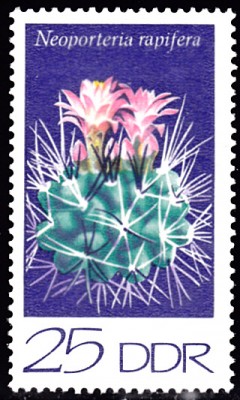 20201130_0004.jpg
