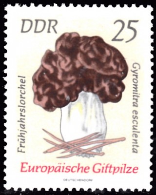 20201130_0010.jpg