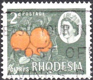 Früchte_0049.jpg