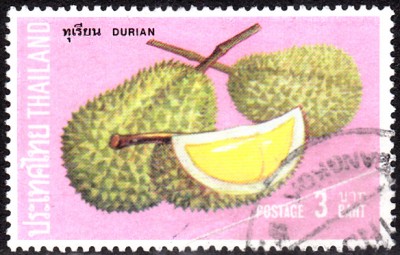 Früchte_0021.jpg