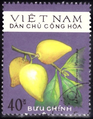 20210204_0026.jpg (79.42 KiB) 393-mal betrachtet 20210204_0026.jpg