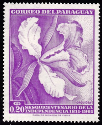 20210515_0023.jpg (131.44 KiB) 937-mal betrachtet 20210515_0023.jpg