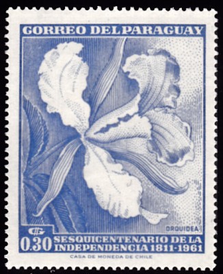 20210515_0024.jpg (122.85 KiB) 937-mal betrachtet 20210515_0024.jpg