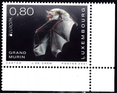 20210724.jpg