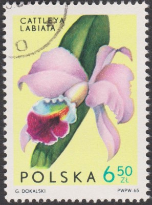001 (10).jpg