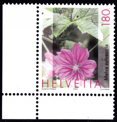 20211012_0009.jpg (215.15 KiB) 755-mal betrachtet 20211012_0009.jpg