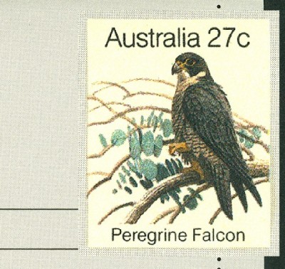 australien-2.jpg
