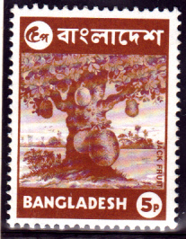 BDDSgross_0005.jpg