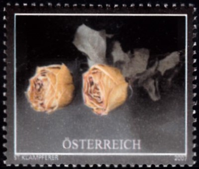 20220115.jpg