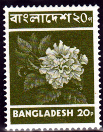 BDDSgross_0014.jpg