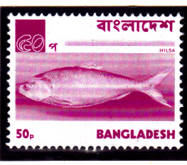 BDDSgross_0020.jpg