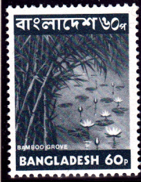 BDDSgross_0022.jpg
