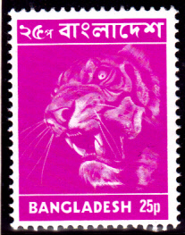 BDDSgross_0019.jpg