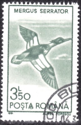 20220305_0018.jpg