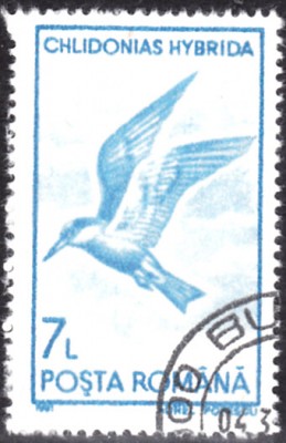 20220305_0016.jpg