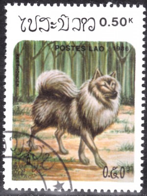20220309.jpg