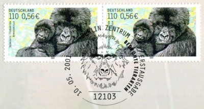 js gorilla 1.jpg