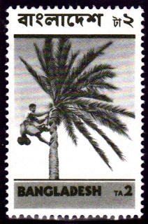 BDDSgross_0029.jpg