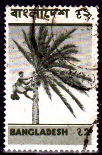 BDDSgross_0030.jpg
