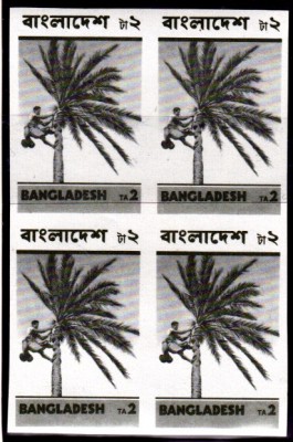 BDDSgross_0031.jpg