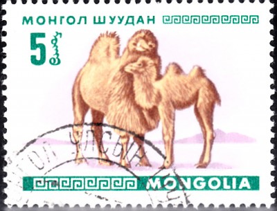 20220315.jpg
