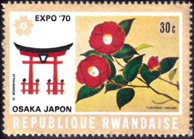 20220415_0006.jpg (95.7 KiB) 116-mal betrachtet 20220415_0006.jpg