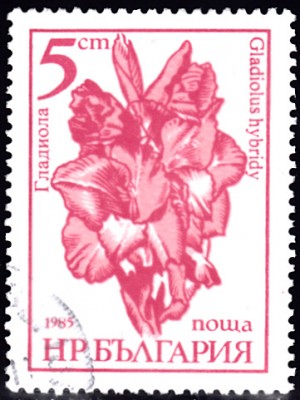 20220417_0007.jpg