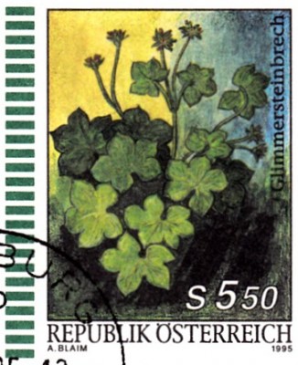 20220424_0000.jpg