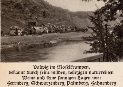 20220425_0015a.jpg