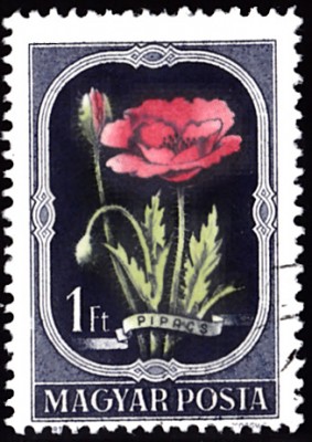 20220608.jpg