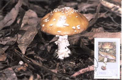 20220613_0009.jpg