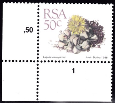 20220628.jpg (64.79 KiB) 128-mal betrachtet 20220628.jpg