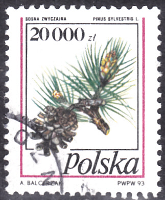 20220629.jpg