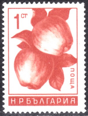20220727.jpg