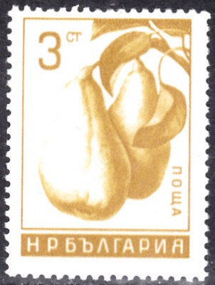 20220727_0002.jpg