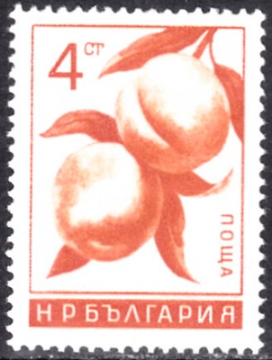 20220727_0003.jpg