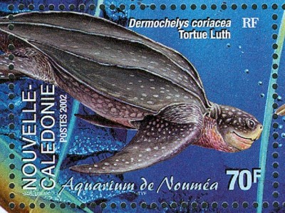 neuCaledonie-2d.jpg