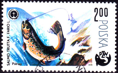 20230207_0005.jpg