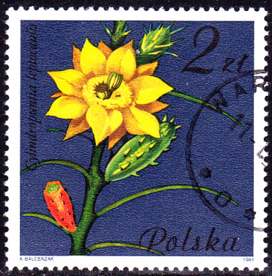 20230228_0005.jpg