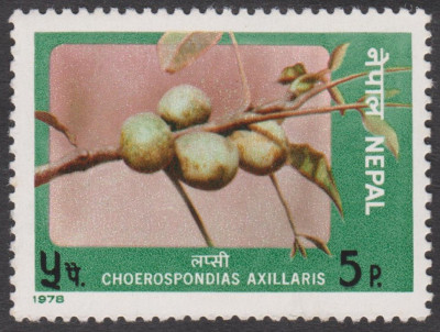 004 (4).jpg (239.09 KiB) 1191-mal betrachtet 004 (4).jpg