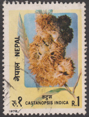 004 (2).jpg (249.72 KiB) 1201-mal betrachtet 004 (2).jpg