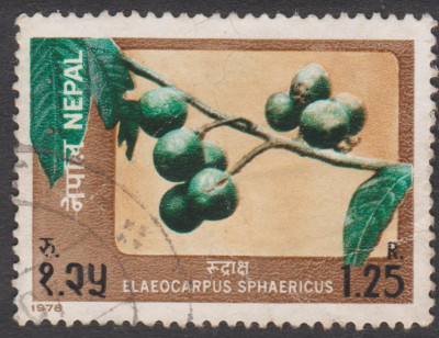 004 (3).jpg (228.62 KiB) 1057-mal betrachtet 004 (3).jpg