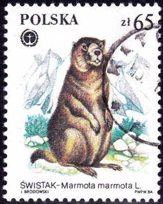 20230320_0001.jpg