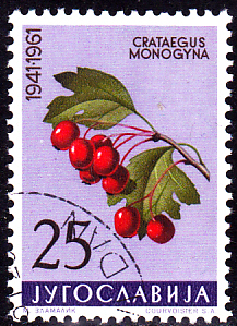 20230325_0004.jpg