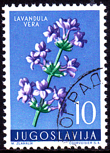 20230327_0006.jpg