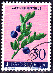 20230327_0009.jpg