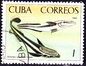 20230327_0014.jpg
