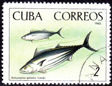 20230327_0015.jpg